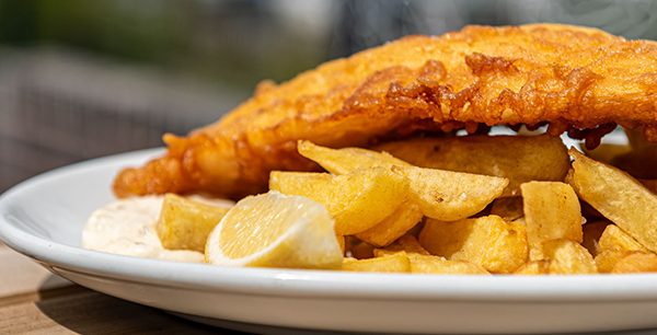 Harbour Lights Seafood Restaurant Essex Coast Fresh Oysters Lobster Platter Seafood Takeaway